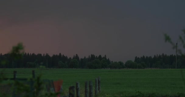 Landskap av grönt fält och träd på kvällen — Stockvideo