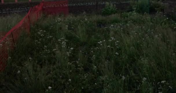 caméra se déplace du bas vers le haut et enlève le coucher de soleil écarlate et l'arc-en-ciel 