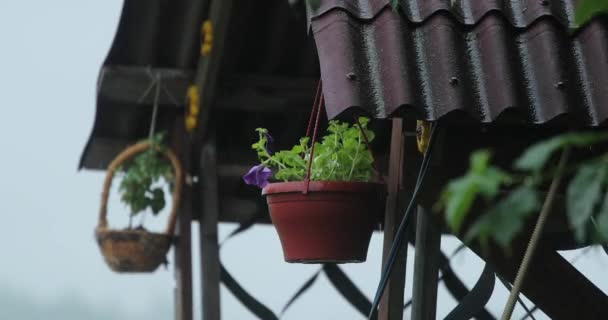 Ornamental flower pot on a gazebo video 4k — Stock Video