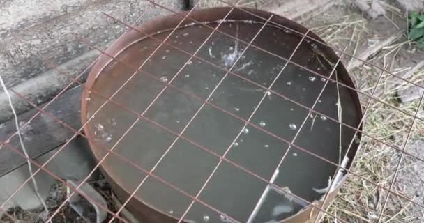 l'eau coule dans un vieux baril sale 