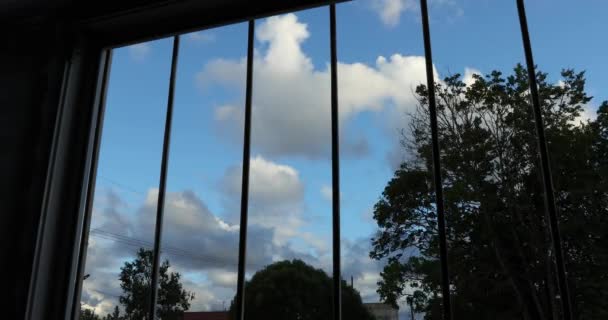 Bomen tegen de blauwe hemel en wolken uitzicht vanuit het raam met bars — Stockvideo