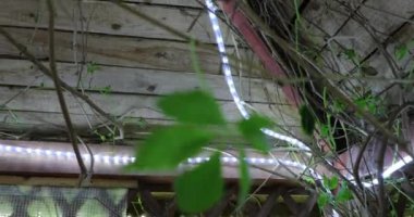 içinden ışıklı manzaralı güzel ahşap kulübe