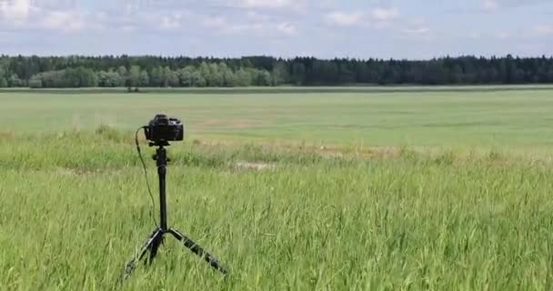 Caméra et trépied dans un grand champ vert sur fond de forêt et de ciel bleu — Video