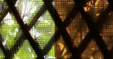 ahşap evin elmas şeklinde örgü ile görünümü