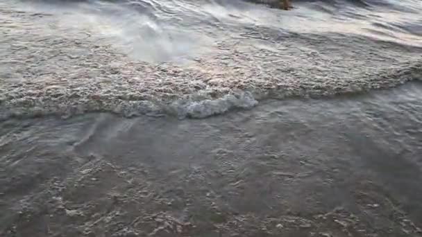 Marée en été dans la vidéo au ralenti de jour — Video