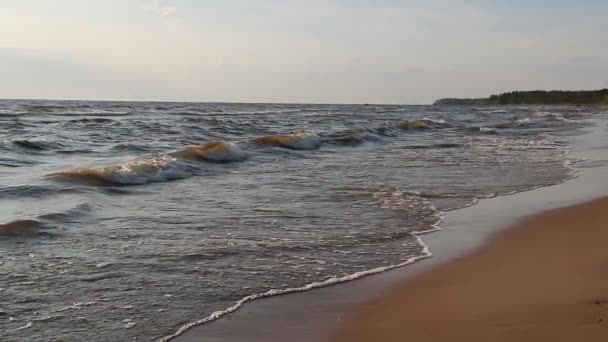 Tide in the summer time in the daytime slow motion video — Stock Video
