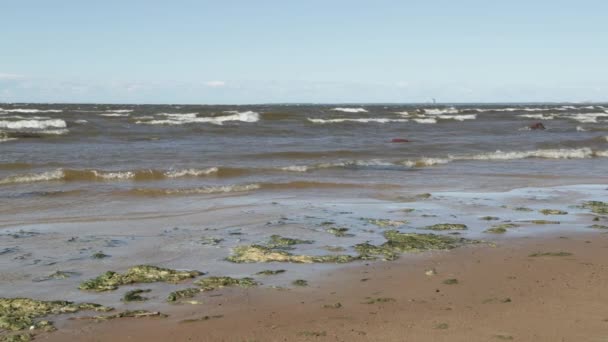 marée en été dans la vidéo au ralenti de jour 