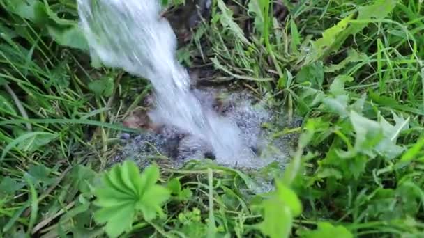 A água está derramando lentamente na grama no jardim — Vídeo de Stock