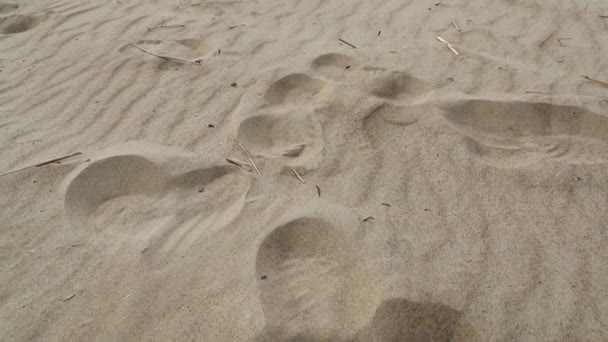 Cámara se mueve hacia arriba sacando la playa de arena y el mar — Vídeos de Stock