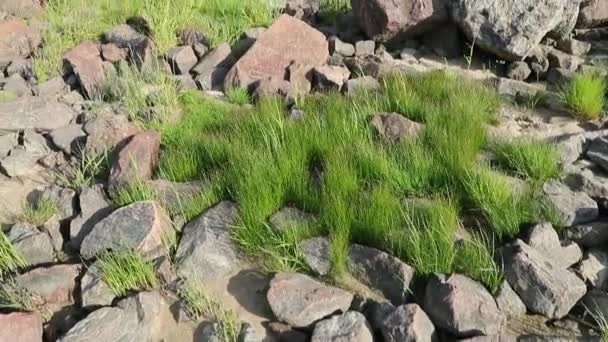 Camera moves upwards taking off a wide and stone pathway in the middle of the sea against the background of the forest — Stock Video