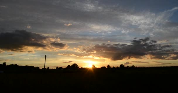 Puesta de sol en la estepa del bosque entre las plantas y los árboles time lapse video — Vídeo de stock