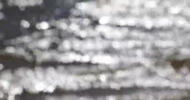 yaz dalgalarının bulanık hareketi