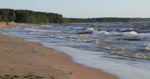 Golven van de zee in de overdag in de zomer — Stockvideo