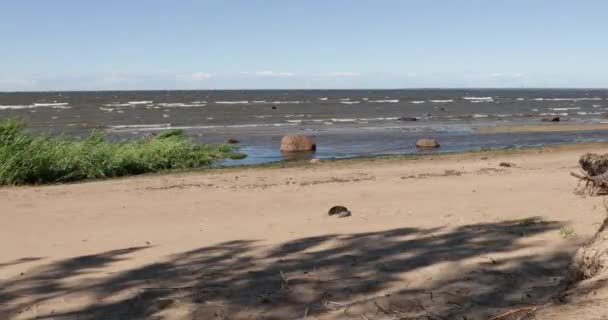 Piaszczysta plaża i morze w ciągu dnia w lecie — Wideo stockowe