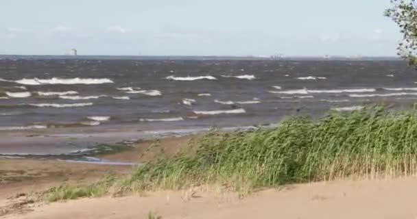 Piaszczysta plaża i morze w ciągu dnia w lecie — Wideo stockowe