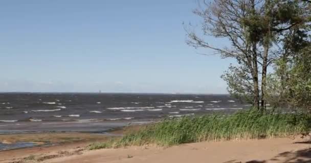 Piaszczysta plaża i morze w ciągu dnia w lecie — Wideo stockowe