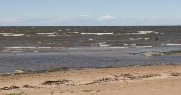 Golven van de zee in de overdag in de zomer — Stockvideo