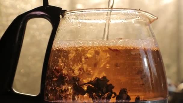 Slowly pour boiling water into a glass kettle with tea — Stock Video