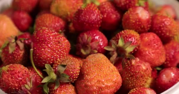 Fresas naturales y frescas primer plano video 4k — Vídeo de stock