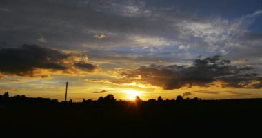 bitkiler ve ağaçlar arasında orman bozkırda gün batımı zaman atlamalı video