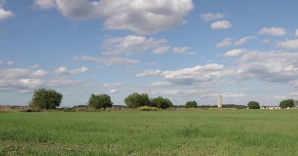 Witte wolken bewegende timelapse-video 4k — Stockvideo