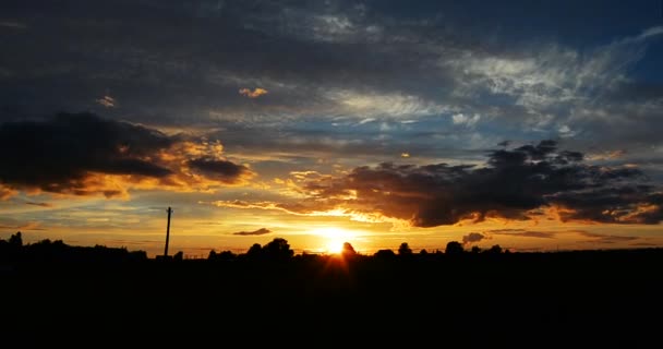 Sonnenuntergang in der Waldsteppe zwischen Pflanzen und Bäumen Zeitraffer-Video — Stockvideo