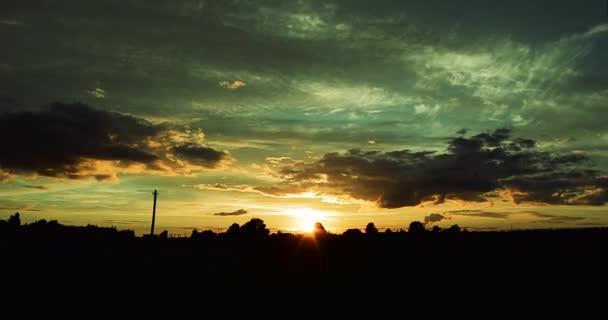 Zonsondergang in de bossteppe tussen planten en bomen timelapse-video — Stockvideo