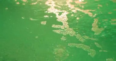 yeşil ışıklı havuzda su hareketi