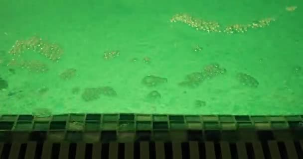 Movement of water in the pool with green lighting — Stock Video