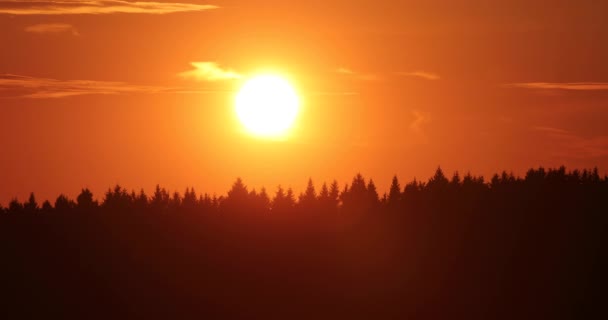Coucher de soleil et les sommets de grands arbres vidéo 4k — Video
