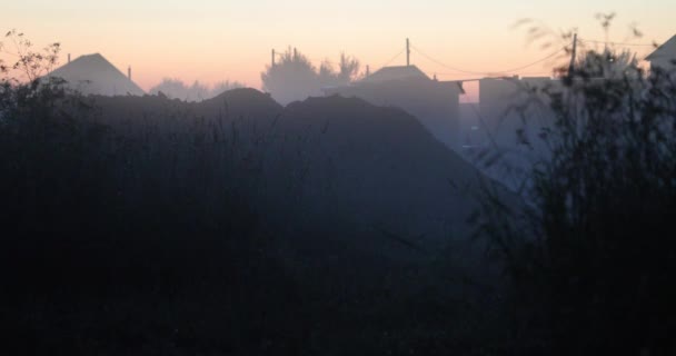 Natürliche Vegetation und Nebel am Abend vor dem Hintergrund von Dorfhäusern — Stockvideo