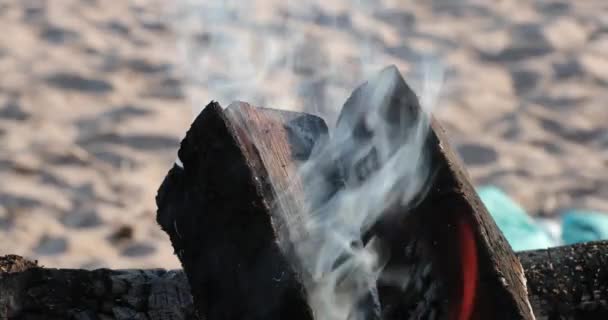Bruciare legna in un fuoco in estate su una spiaggia di sabbia — Video Stock