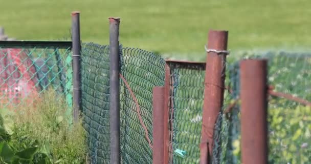 Hek gemaakt van ijzeren gaas met stalen buizen in de zomer — Stockvideo