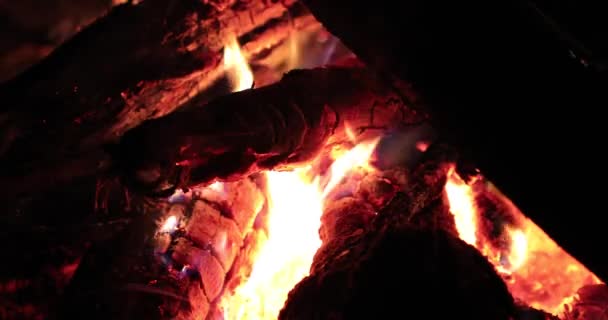Brillante llama de fuego y madera caliente por la noche — Vídeo de stock