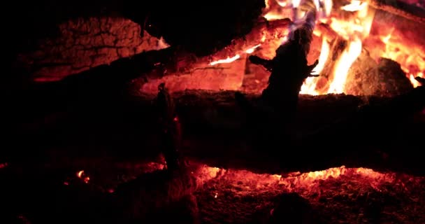 Bright flaming of fire and hot wood at night — Stock Video