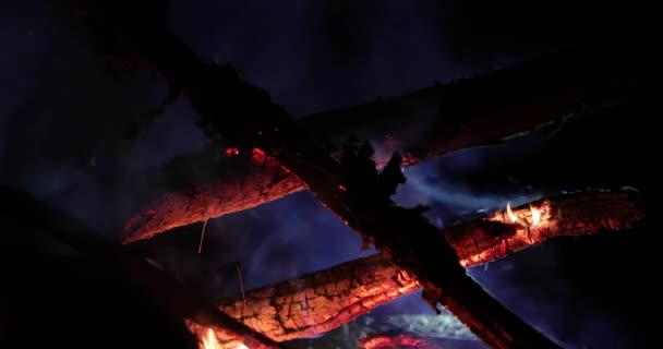 Jasne Flaming ognia i gorącego drewna w nocy — Wideo stockowe