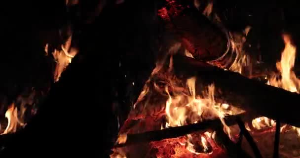 Яскраве полум'я вогню і гарячого дерева вночі — стокове відео