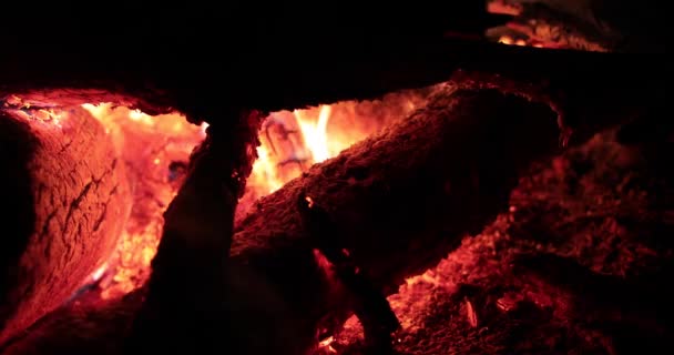 밤에 불과 뜨거운 나무의 밝은 불타는 — 비디오