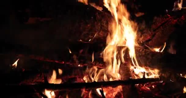 Bright flaming of fire and hot wood at night — Stock Video