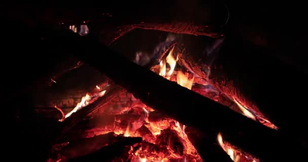 Brillante llama de fuego y madera caliente por la noche — Vídeo de stock