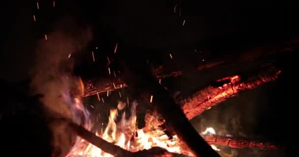 Brillante llama de fuego y madera caliente por la noche — Vídeo de stock