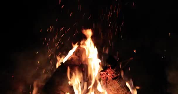 Fiammeggiante di fuoco e legna calda di notte — Video Stock