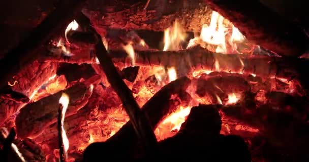 Brillante llama de fuego y madera caliente por la noche — Vídeo de stock