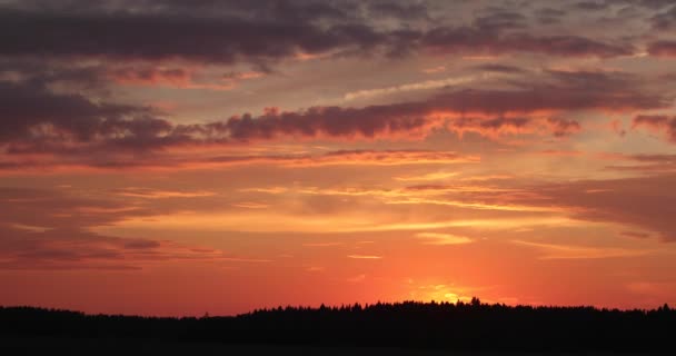 Romantische zomer zonsondergang timelapse video 4k — Stockvideo