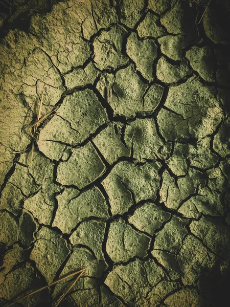 Δηλητηριασμένο νεκρό ξηρό χώμα μετά την αποκάλυψη — Φωτογραφία Αρχείου