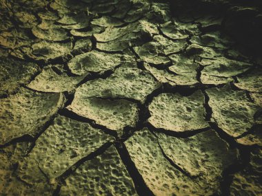 zehirli ölü kuru toprak sonrası kıyamet arka plan