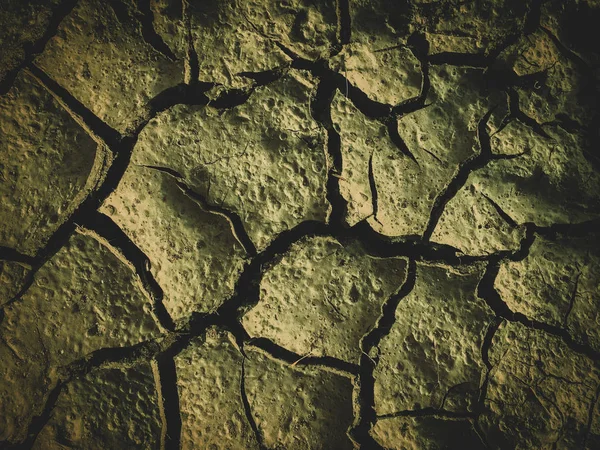 Envenenado solo seco morto pós apocalipse fundo — Fotografia de Stock