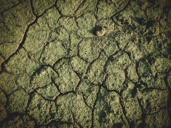 毒死んだ乾燥した土壌ポスト黙示録の背景 — ストック写真