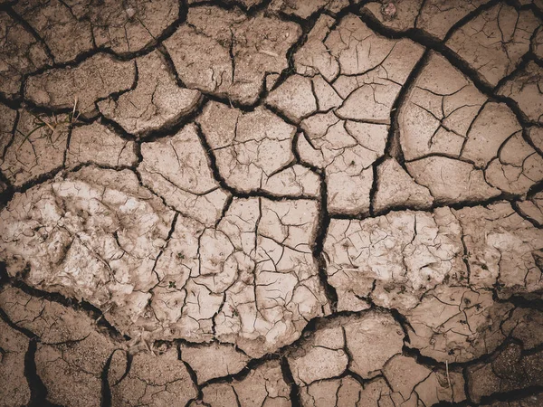 Dry cracked brown earth background — Stock Photo, Image