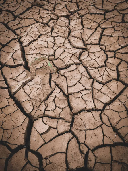 Trockene rissige braune Erde Hintergrund — Stockfoto
